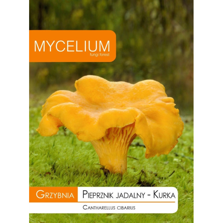 GRZYBNIA PIEPRZNIK JADALNY KURKA 10g