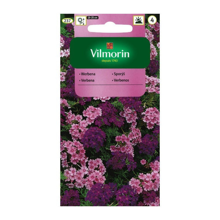 WERBENA ZWISAJĄCA MIESZANKA 0,5G