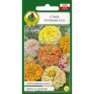 CYNIA DALIOWA PEPPERMINT STICK MIESZANKA 1g