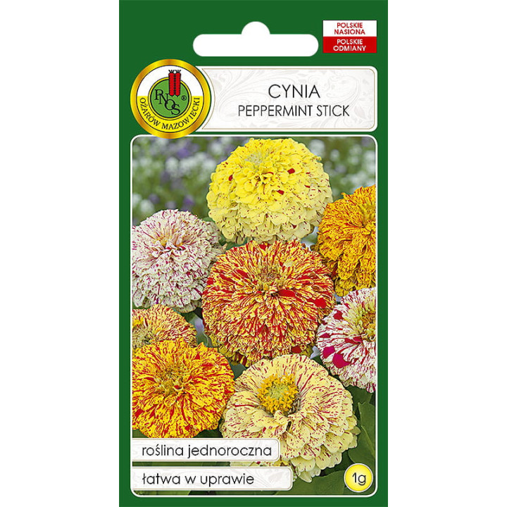 CYNIA DALIOWA PEPPERMINT STICK MIESZANKA 1g