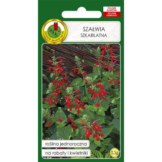 SZAŁWIA SZKARŁATNA CZERWONA 0,3g