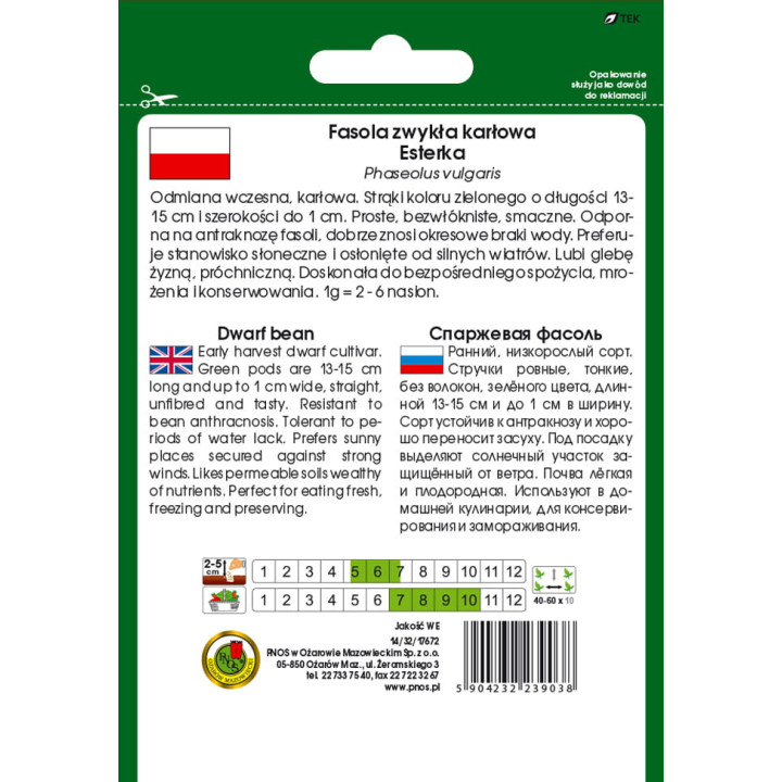 FASOLA sz.ZIELONA KARŁOWA ESTERKA 50g