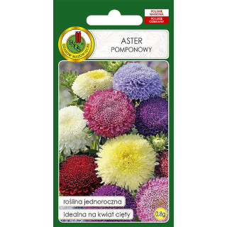 ASTER POMPONOWY MIESZANY 0,8g