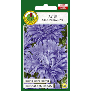 ASTER CHRYZANTEMOWY NIEBIESKI 0,8g