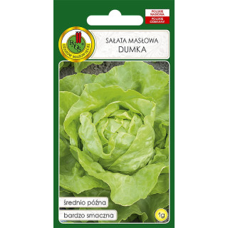 SAŁATA GŁOWIASTA MASŁOWA DUMKA 1g