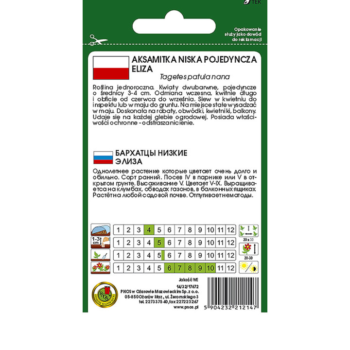 AKSAMITKA POJEDYNCZA ELIZA 1g BRZOSKWINIOWOKARMAZYNOWA