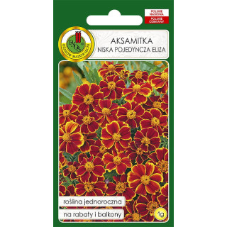 AKSAMITKA POJEDYNCZA ELIZA 1g BRZOSKWINIOWOKARMAZYNOWA