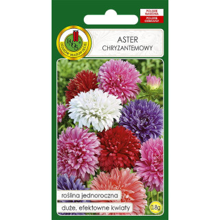 ASTER CHRYZANTEMOWY MIESZANY 0,8g