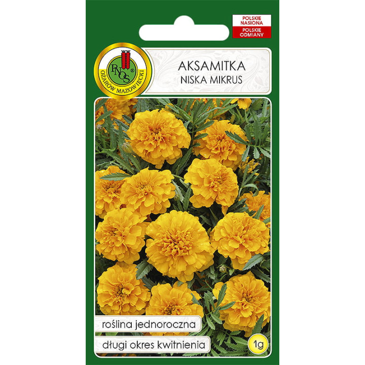 AKSAMITKA PEŁNA NISKA MIKRUS POMARAŃCZOWY 1g