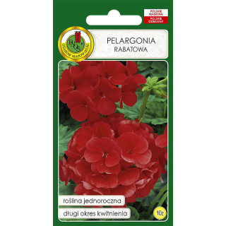 PELARGONIA RABATOWA F1 CZERWONA 10z