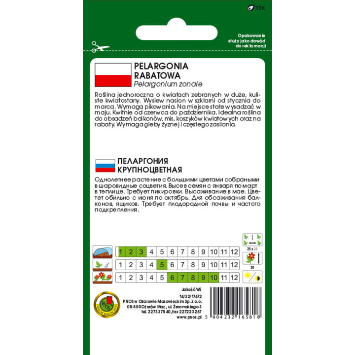 PELARGONIA RABATOWA F1 CZERWONA 10z