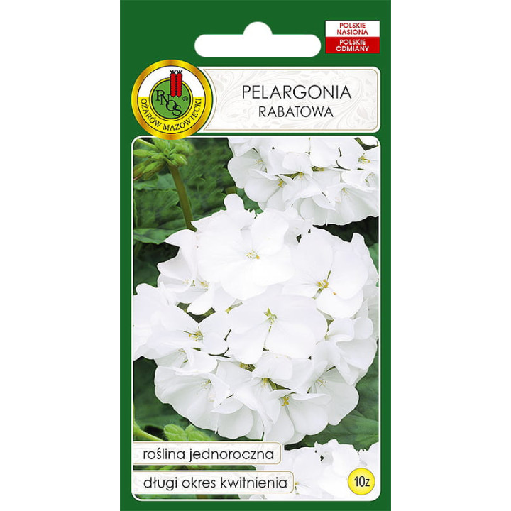 PELARGONIA RABATOWA F1 BIAŁA 10z