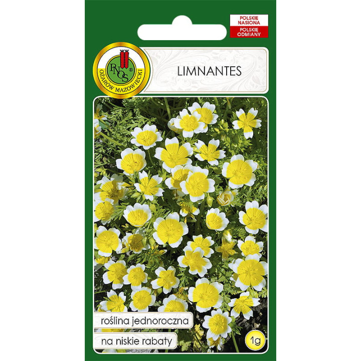 LIMNANTES ŻÓŁTO-BIAŁY 1g