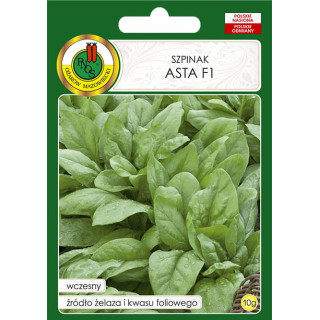 SZPINAK ASTA F1 10g