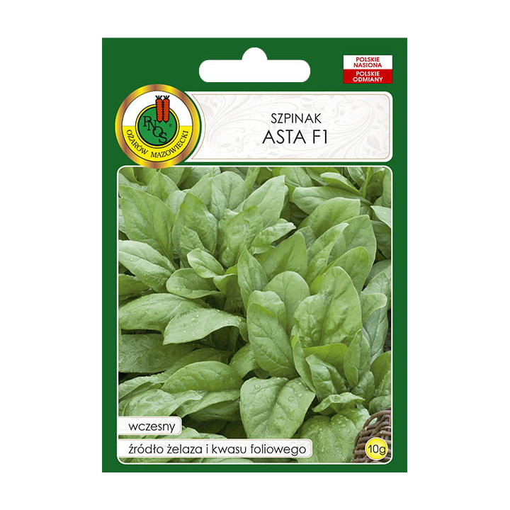 SZPINAK ASTA F1 10g