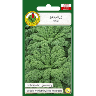 JARMUŻ NISKI DWARF GREEN CURLED 5g