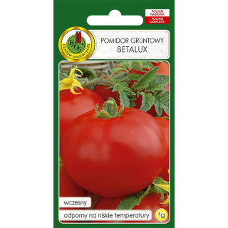 POMIDOR GRUNTOWY BETALUX 1g super wczesny