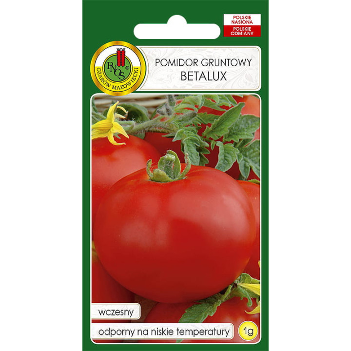 POMIDOR GRUNTOWY BETALUX 1g super wczesny