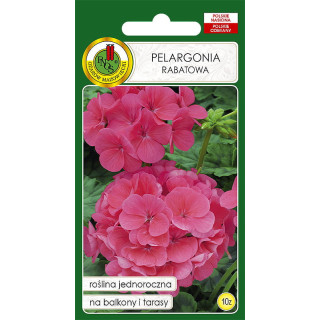 PELARGONIA RABATOWA F1 RÓŻOWA 10z