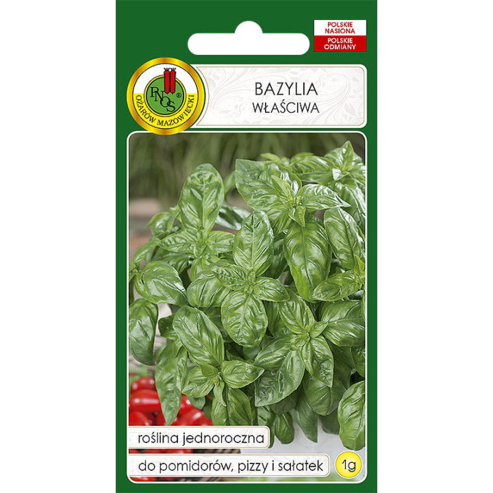 BAZYLIA WŁAŚCIWA ZIELONA GENOVESE 1g