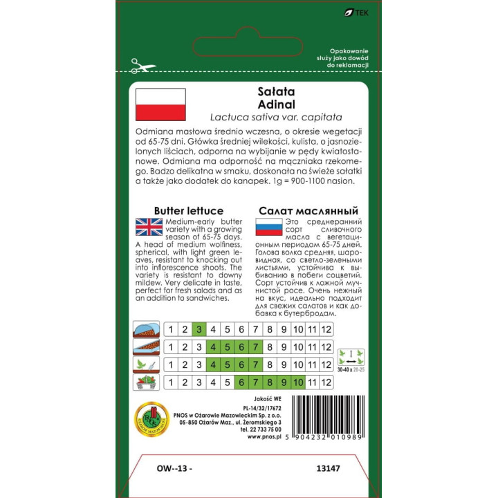 SAŁATA GŁOWIASTA MASŁOWA ADINAL 1g