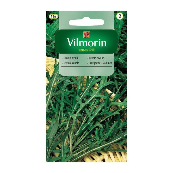RUKOLA WIELOLETNIA DZIKA 2g VILMORIN