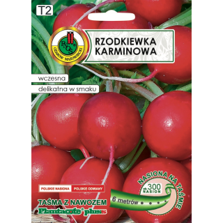 RZODKIEWKA KARMINOWA 6m
