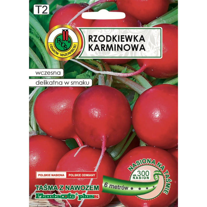 RZODKIEWKA KARMINOWA 6m