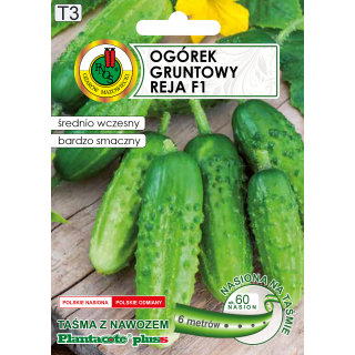 OGÓREK GRUNTOWY REJA F1 Z NAWOZEM 6m