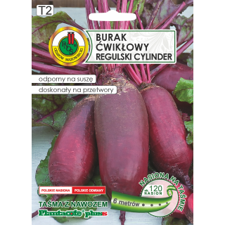 BURAK ĆWIKŁOWY REGULSKI CYLINDER Z NAWOZEM 6m