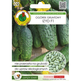 OGÓREK GRUNTOWY IZYD F1 50z OTOCZKA