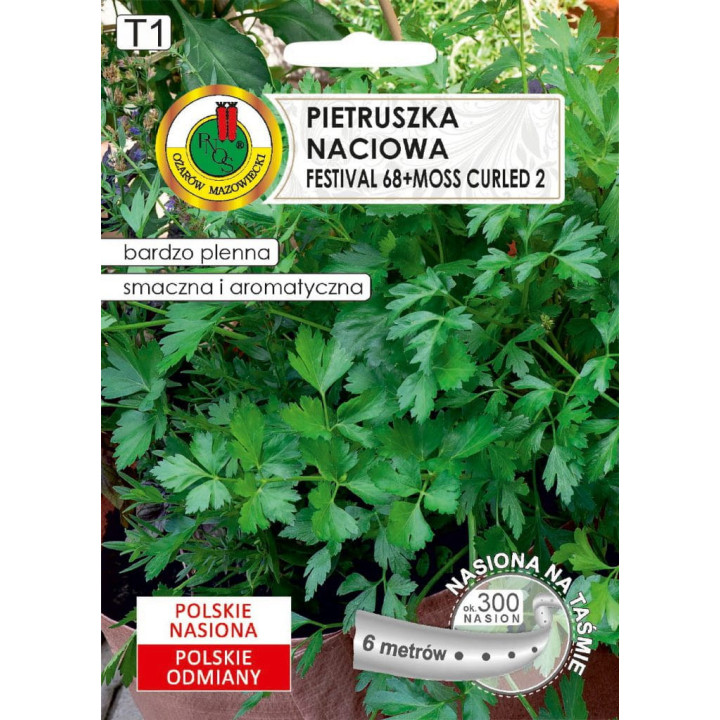 PIETRUSZKA NACIOWA FESTIVAL 68+MOSS CURLED 2  6m
