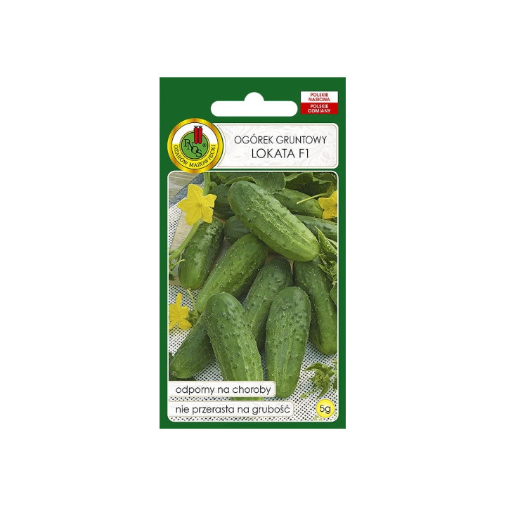 OGÓREK GRUNTOWY LOKATA F1 5g
