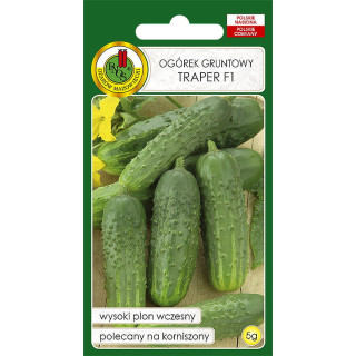 OGÓREK GRUNTOWY TRAPER F1 5g