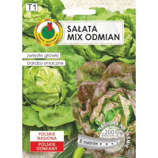 SAŁATA GŁOWIASTA MASŁOWA JUBILATKA+EDYTA OŻAROWSKA 6m 