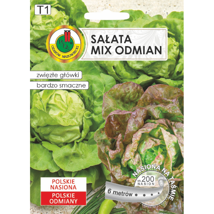 SAŁATA GŁOWIASTA MASŁOWA JUBILATKA+EDYTA OŻAROWSKA 6m 