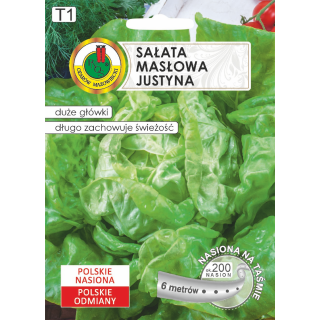 SAŁATA GŁOWIASTA MASŁOWA JUSTYNA 6m