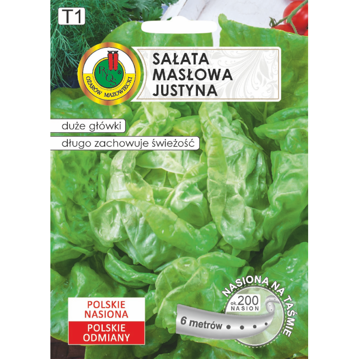 SAŁATA GŁOWIASTA MASŁOWA JUSTYNA 6m