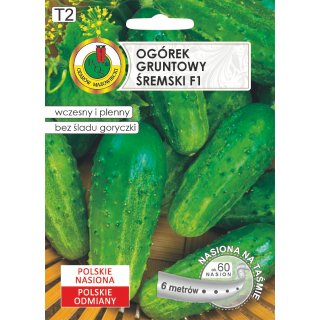 OGÓREK GRUNTOWY ŚREMSKI F1 6m