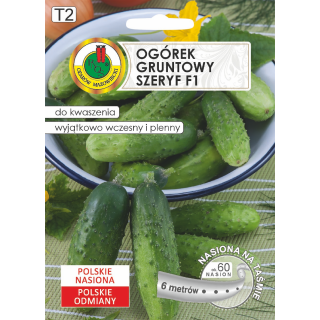 OGÓREK GRUNTOWY SZERYF F1 6m