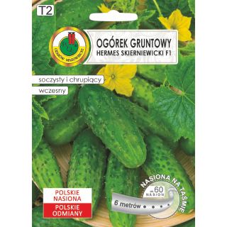 OGÓREK g. HERMES SKIERNIEWICKI F1 6m