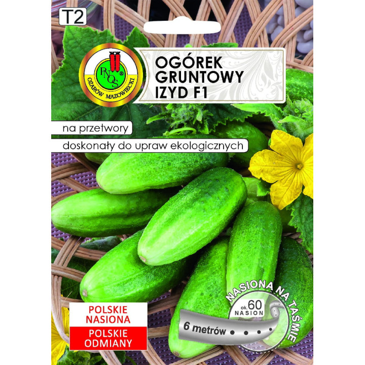 OGÓREK GRUNTOWY IZYD F1 6m