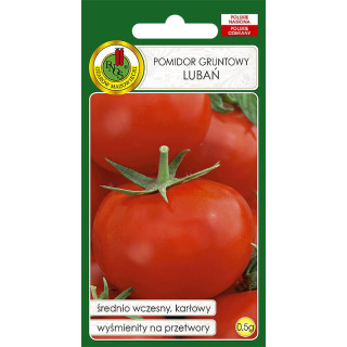 POMIDOR GRUNTOWY LUBAŃ 0,5g