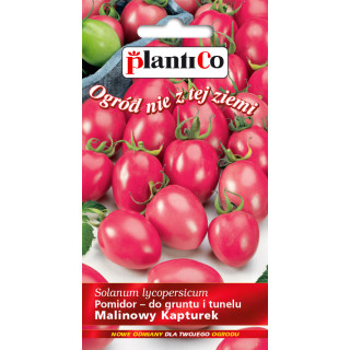Pomidor Malinowy Kapturek 0,2g Plantico