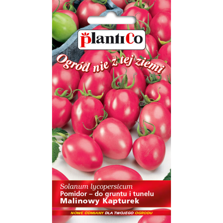 Pomidor Malinowy Kapturek 0,2g Plantico