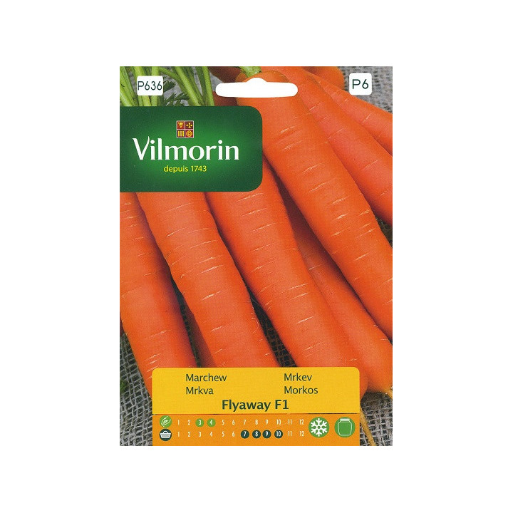 Marchew śr wczesna FLYAWAY F1 0,5g VILMORIN