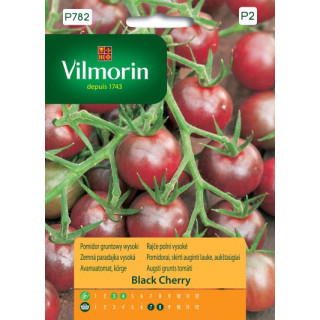 POMIDOR GRUNTOWY BLACK CHERRY 0,2g VILMORIN 