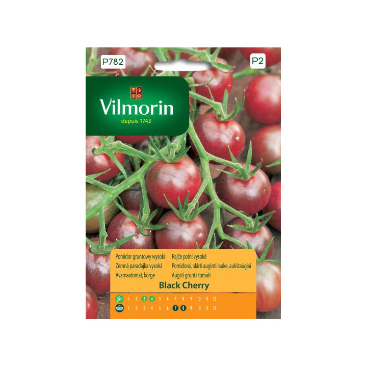 POMIDOR GRUNTOWY BLACK CHERRY 0,2g VILMORIN 