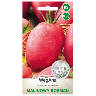 Pomidor karłowy malinowy Malinowy Bosman 0,5g