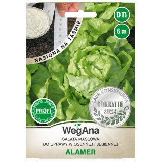 Sałata masłowa Alamer 6m na taśmie